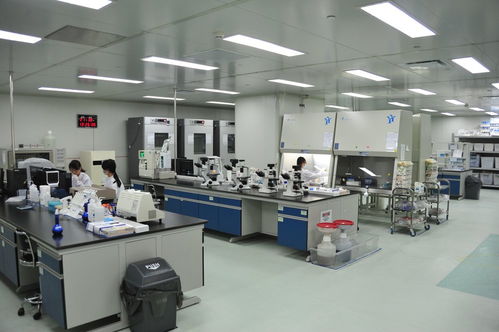 企業拔節開花，蘭州戰略性新興產業占比持續提升